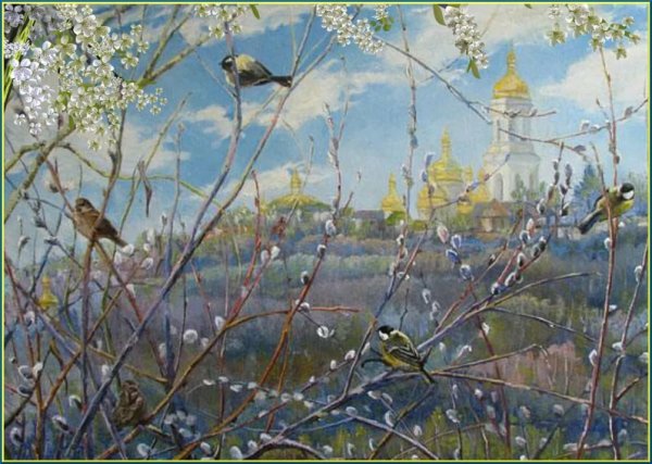 Открытки с вербой
