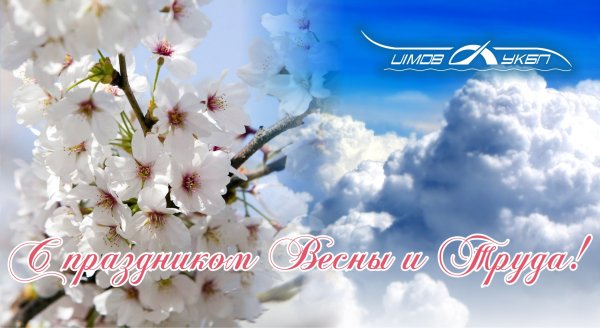1 Мая цветы
