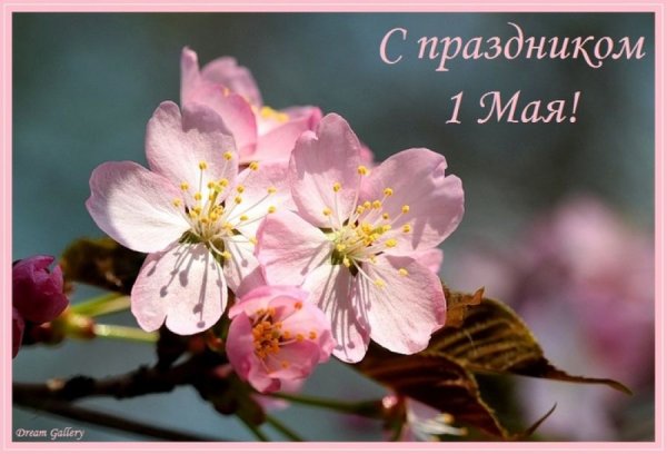 С первым днем весны