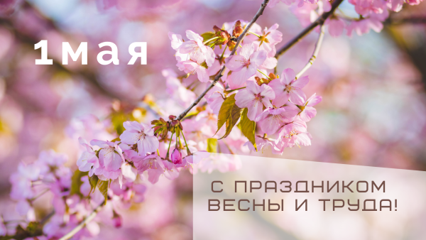 С первым весенним маем