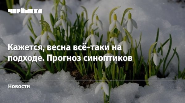 Кажется Весна начинается