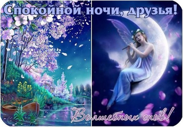 Спокойной ночи вечнние