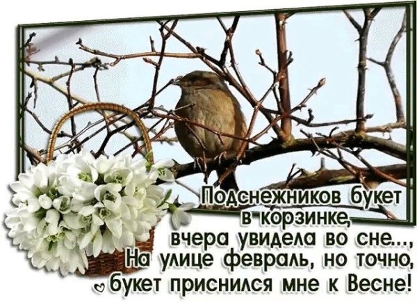 Весна ты где