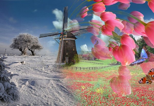 Весна пришла приколы