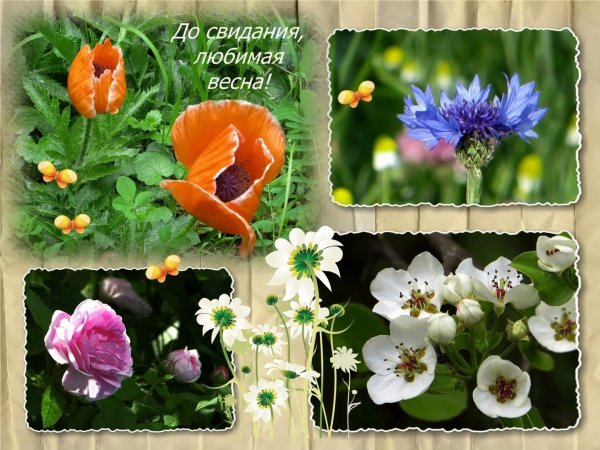 Последний день апреля