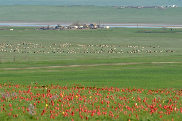 Маныч-Гудило Калмыкия