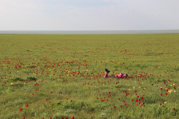Крым заповедник Опук Дикие поля