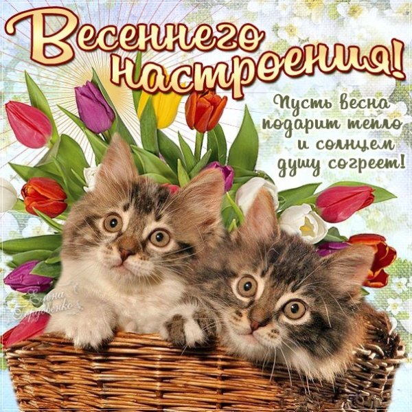 Весенний привет