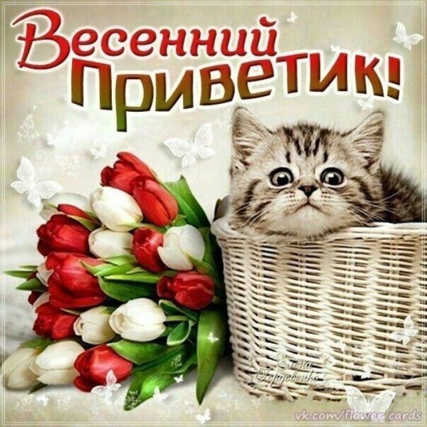 Весенний приветик