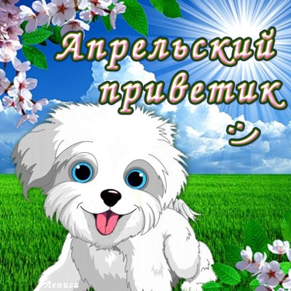 Открытки весенний приветик