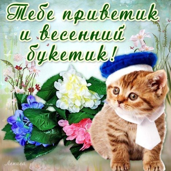 Открытки весенний приветик