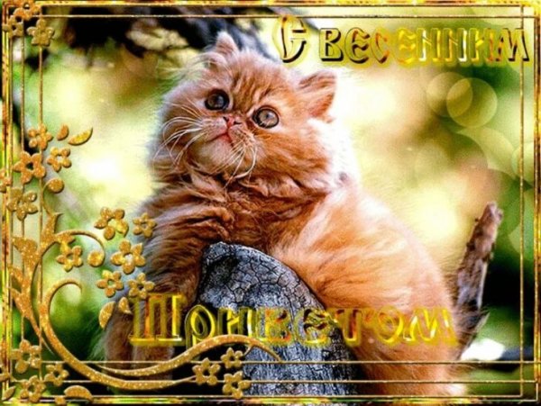 Приветик с весной