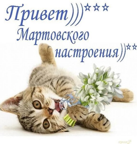 Открытка Мартовский привет