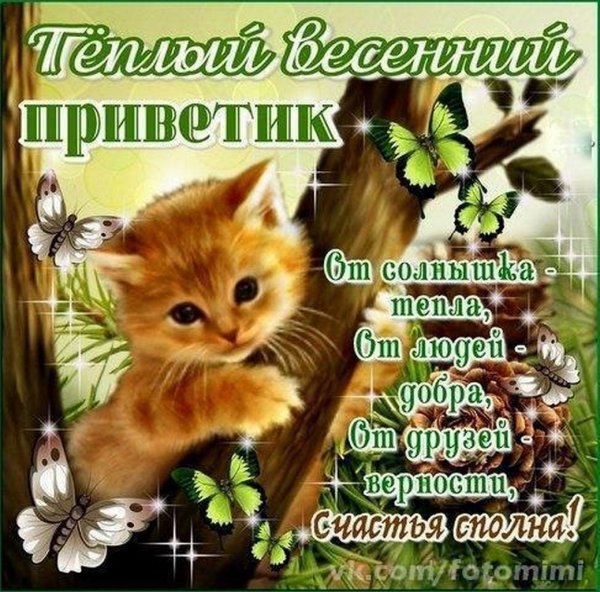 Весенний приветик и хорошего настроения