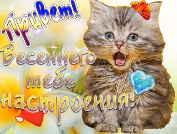 Весенний привет открытки