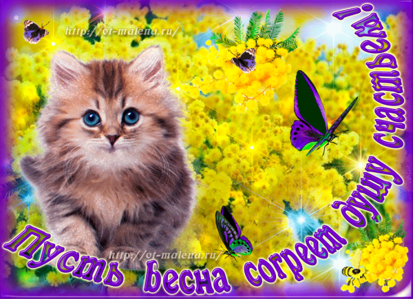 Теплый весенний привет