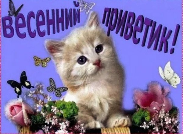 Весенний приветик