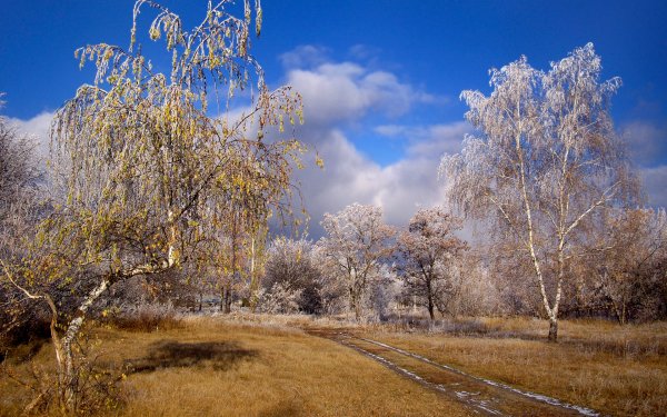 Поздняя Весна
