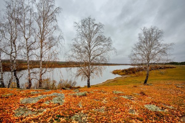 Поздняя осень фото