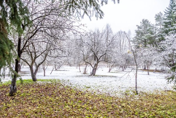 Ранняя зима картинки