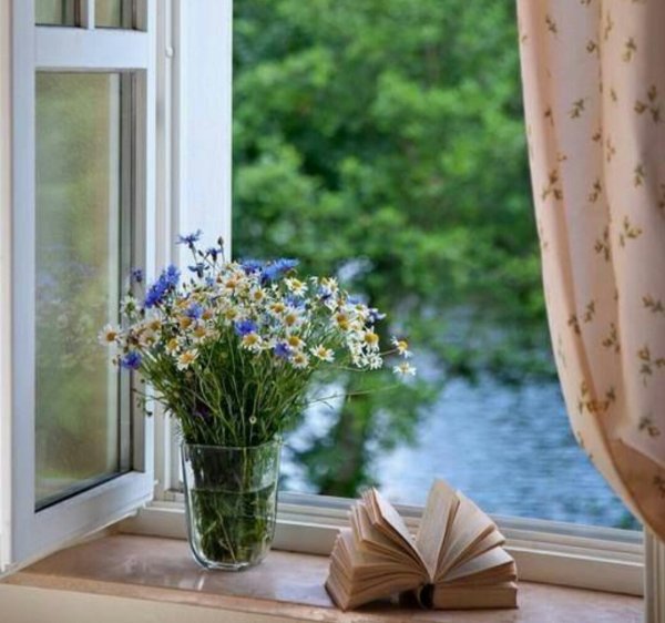 Цветы на открытом окне