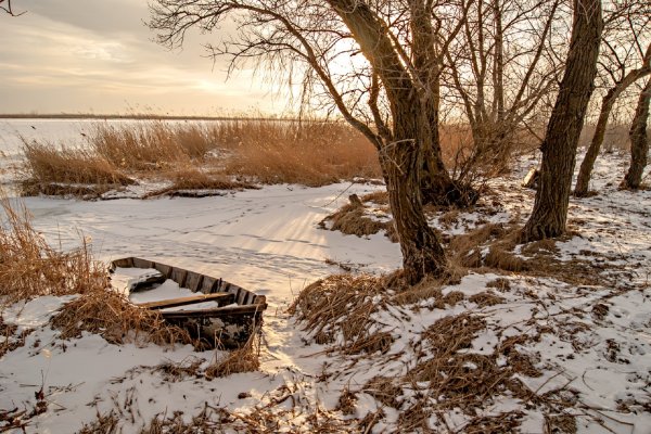 Первые проталины