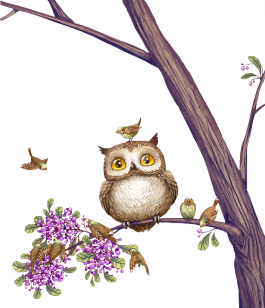 Весенняя Сова мультяшная