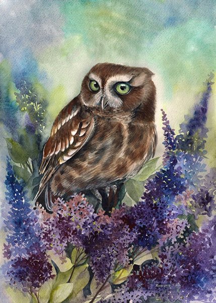 Совы Татьяны Пловецкой