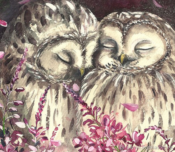 Две Совушки