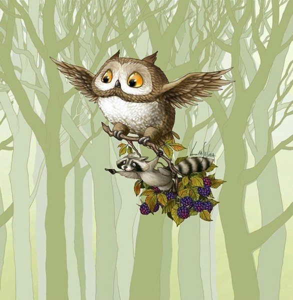 Совы Лиа Селина