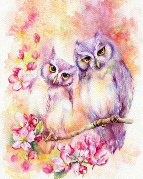 Сова акварелью