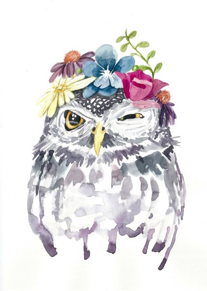 Сова скетч акварелью