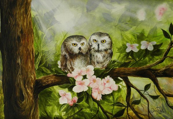 Две Совушки на ветке