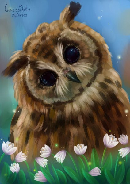 Саморядова Елена картины