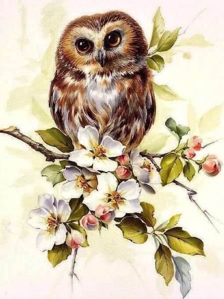 Совушки на ветке