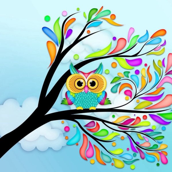 Разноцветная Сова