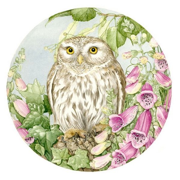 Совушки с цветами