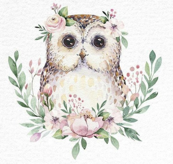 Совушки акварелью