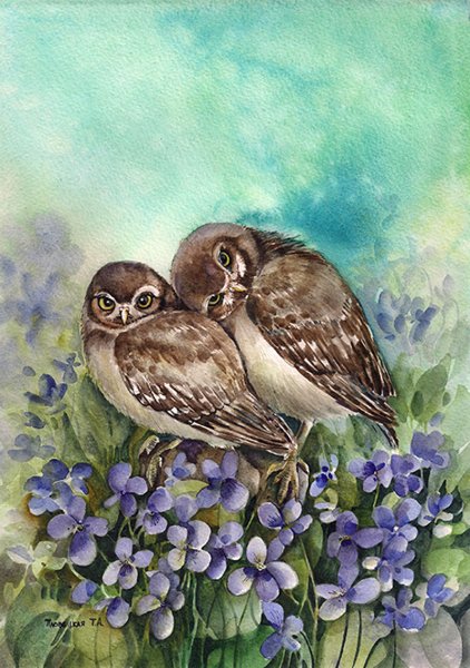 Филин акварелью