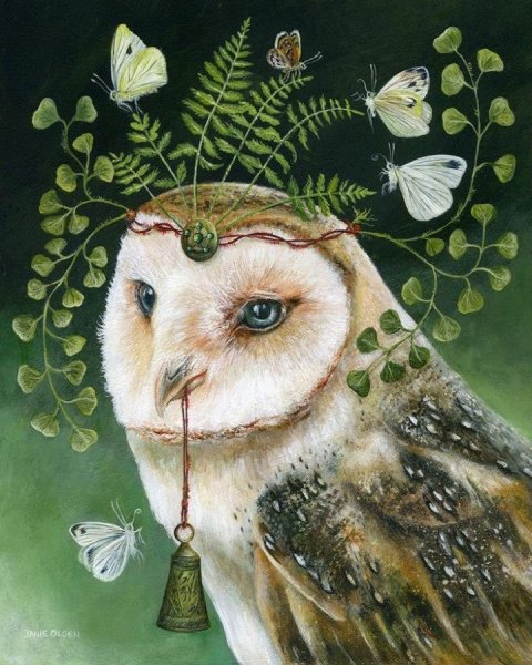 Сова с цветами открытка