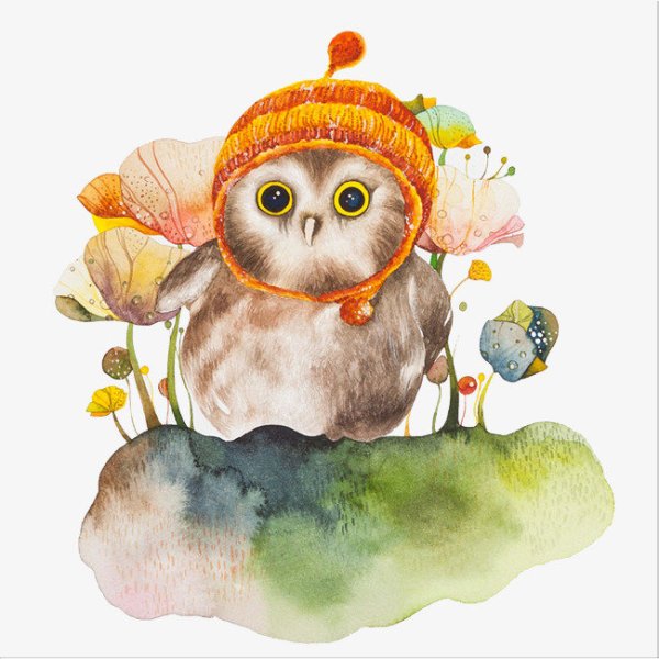 Лиа Селина художник-иллюстратор Сова