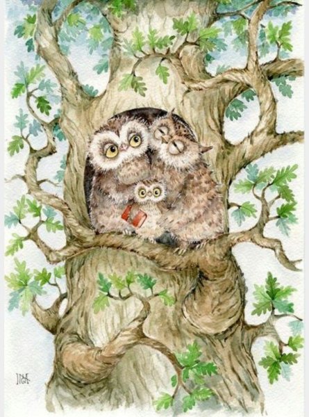 Сова иллюстрация