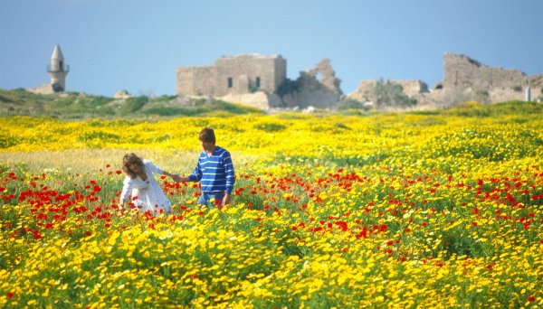 Израиль весной