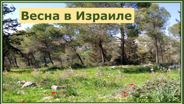 Весна в Израиле