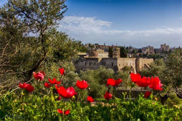 Иерусалим весной