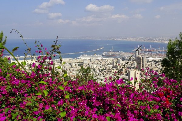 Цветущий Израиль Хайфа