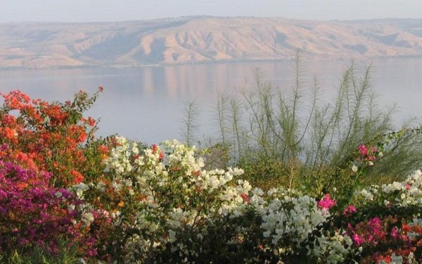 Священное озеро Кинерет, Израиль.