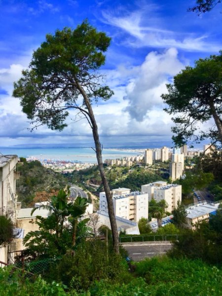 Флаг Израиля и цветы