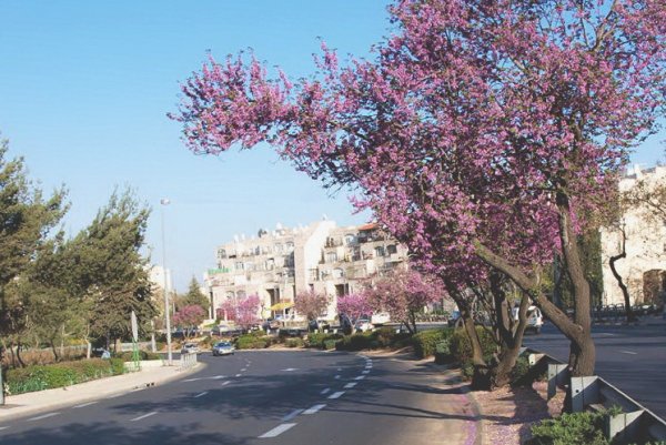 Верхняя Галилея Израиль