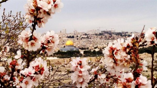 Геррар Израиль ландшафт